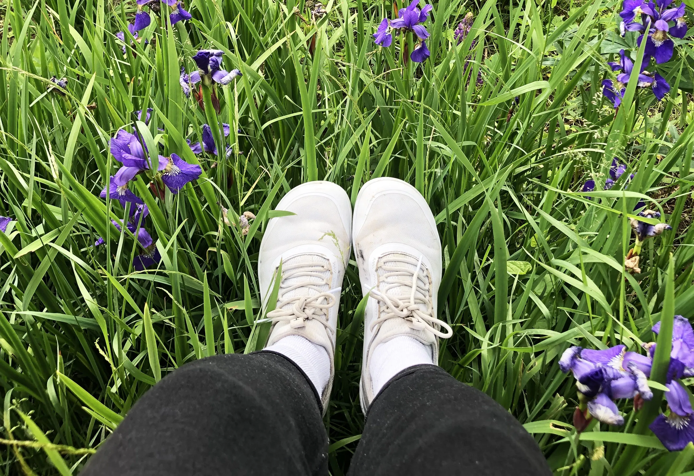 iON SYNC® Tolos Shoes: White
