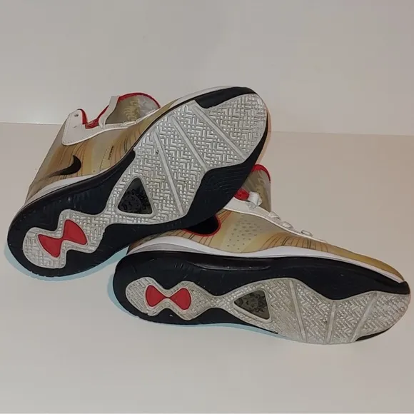 LeBron James 8 V2 Nike Air Max 2010-2011 YR NBA