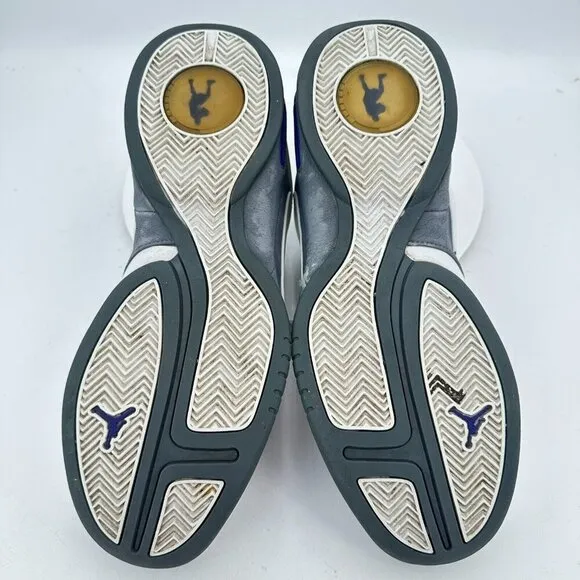 Nike Air Jordan Men Size 13 313534-105 White Silver Black Basketball Shoes