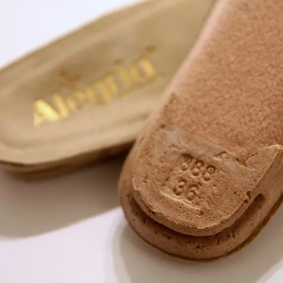 NWOT Alegria Kayla Blotto Shoes