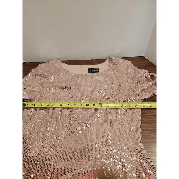 NWT Connected Apparel Kym Sequin‎ Fit Flare Cocktail Dress