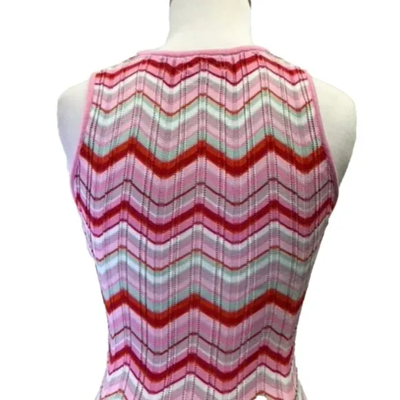 Torn by Ronny Kobo Chevron Knit Pink Maxi Dress